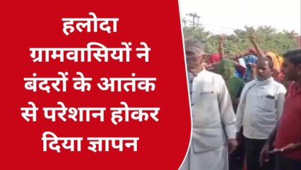 सवाईमाधोपुर: ग्राम वासियों ने बंदरों के आतंक से परेशान होकर दिया ज्ञापन, सुनिए इनकी मांग ?