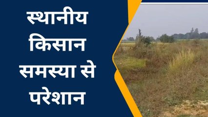 गोण्डा: लाखों रुपए सरकारी धन खर्च करने के बावजूद भी समस्या का नहीं हुआ समाधान