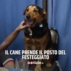 L'esilarante video del cane che prende il posto del festeggiato a tavola
