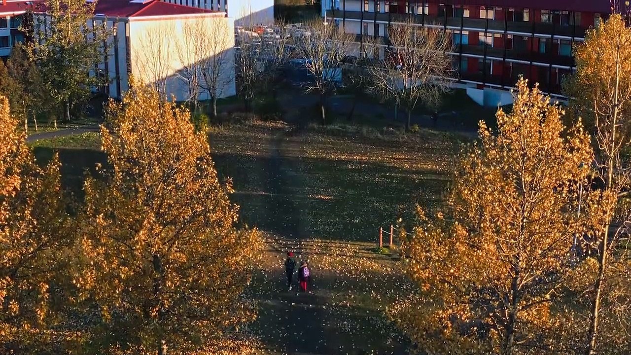 Birta rettet das Weihnachtsfest Trailer DF