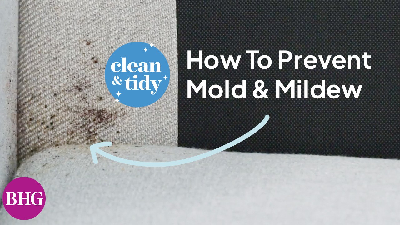 How to Kill Mold and Mildew