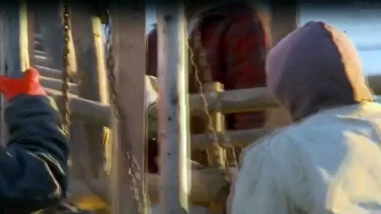 Yukon Men - Überleben in Alaska Staffel 2 Folge 3 HD Deutsch