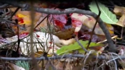 Yukon Men - Überleben in Alaska Staffel 2 Folge 1 HD Deutsch