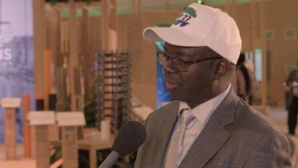 SGI goal to plant 10 billion trees is ‘incredible’, says Sierra Leone environment minister