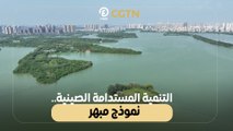 التنمية المستدامة الصينية.. نموذج مبهر