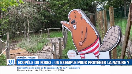 Découvrez l'actualité de votre département!