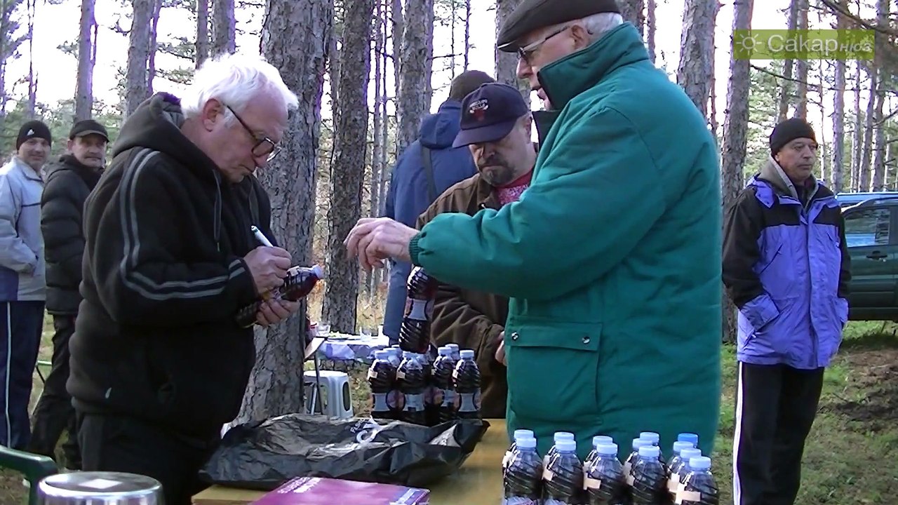 Празник на виното, Харманли 2015 г.