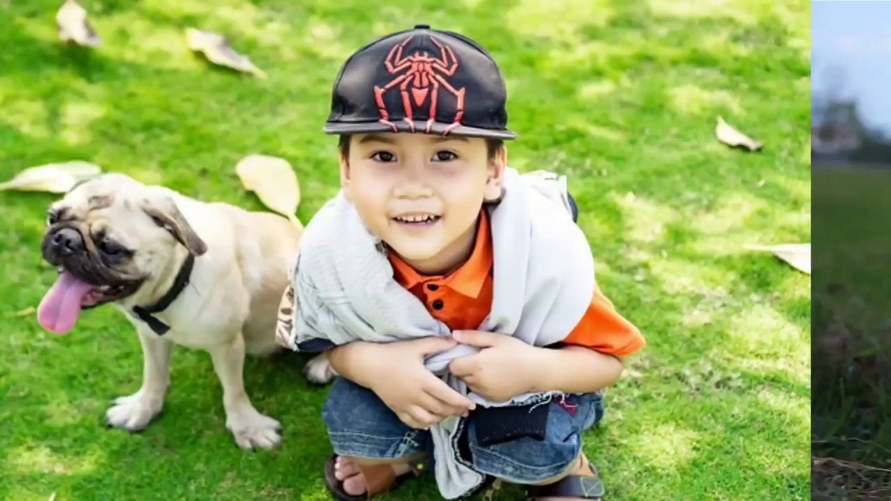 Top 5 Best Dog Breeds for Kids in the World!