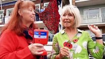 Woolen poppy cascade at Bognor Regis unveiled