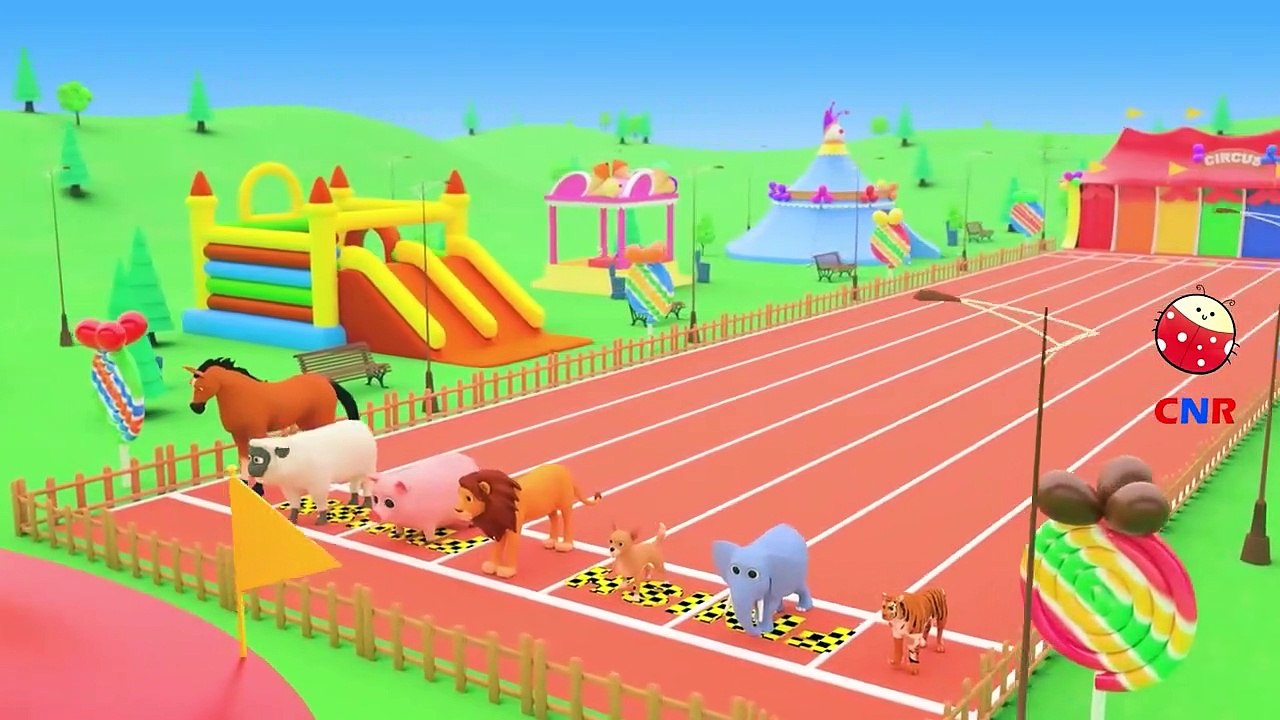 Animals Cycle Race - Animals Fun Play with Soccer Balls - Fun Outdoor Play with Animals