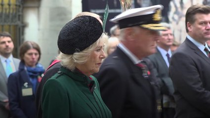 Queen Consort visits Field of Remembrance ahead of Armistice Day