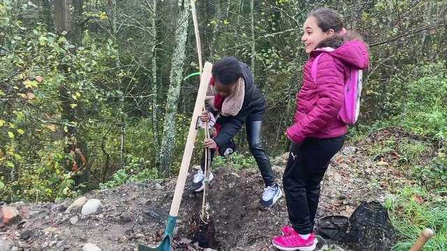 Des élèves de CE1 passaient la matinée à planter des arbres