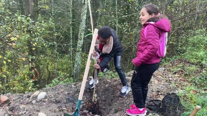 Des élèves de CE1 passaient la matinée à planter des arbres