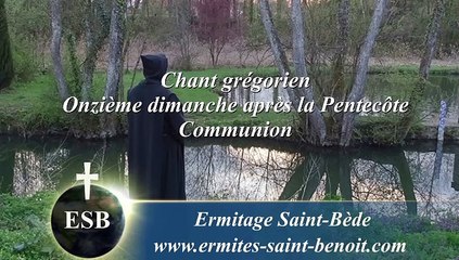 Communion Honora Dominum du 11e dimanche après la Pentecôte - Ermitage Saint-Bède film Jean-Claude Guerguy by Ciné Art Loisir