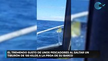 El tremendo susto de unos pescadores al saltar un tiburón de 150 kilos a la proa de su barco