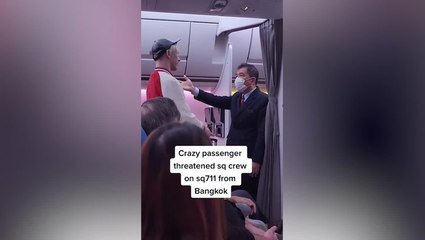 Passenger verbally abuses Singapore Airlines crew member