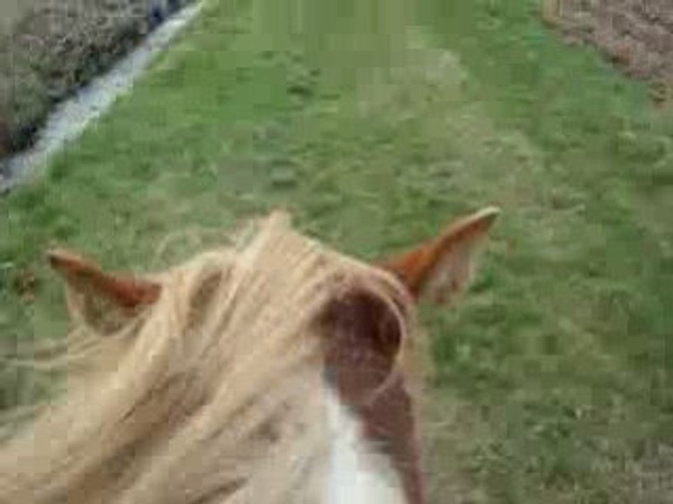 galop magnm opium diabolol 16 mars