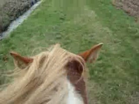 galop magnm opium diabolol 16 mars