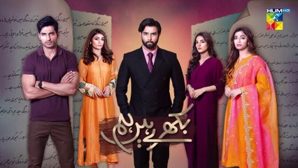 Bikhray Hain Hum - Episode 37 -10th November 2022 - HUM TV