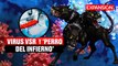 PERRO del INFIERNO y VIRUS VSR, DIFERENCIAS y SÍNTOMAS | ÚLTIMAS NOTICIAS