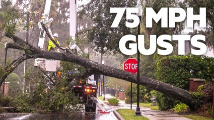 Hurricane Nicole pounds Florida and damages structures