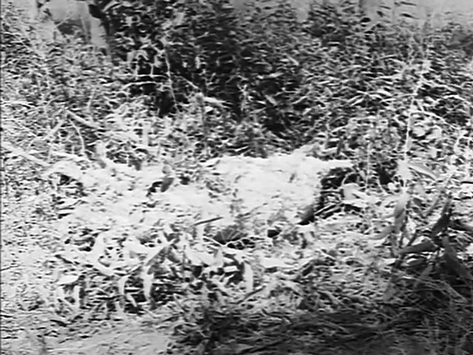 Fury - Se1 - Ep10 HD Watch HD Deutsch