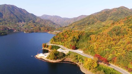 가을의 섬진강과 지리산 둘레길 풍경 🌅 — 아름다운 자연의 선물