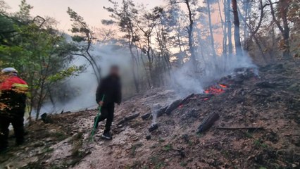 경주에서 실화 추정 산불...1시간여 만에 진화 / YTN