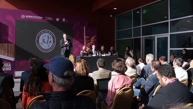 Digitalización del vino, aporte de científicos mexicanos