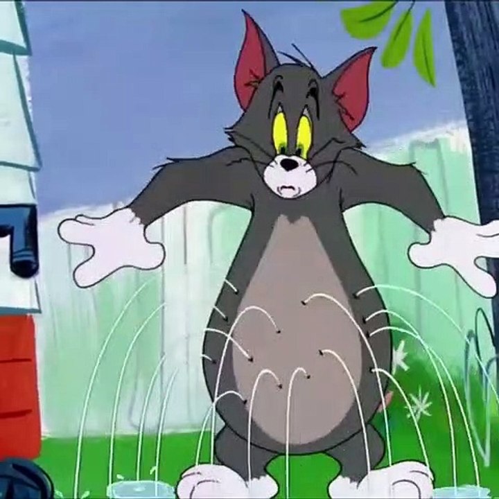 Tom & Jerry Cartoon