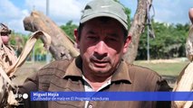 Fenómenos climáticos empujan a millones de personas al límite de la pobreza en Centroamérica