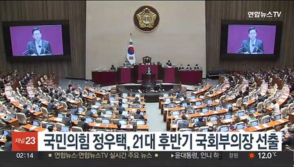 국민의힘 5선 정우택, 21대 후반기 국회부의장 선출
