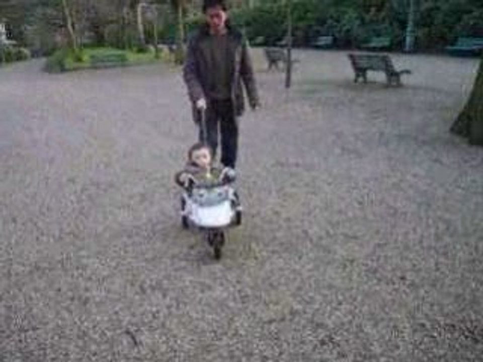 Manège au Parc du Thabor à Rennes