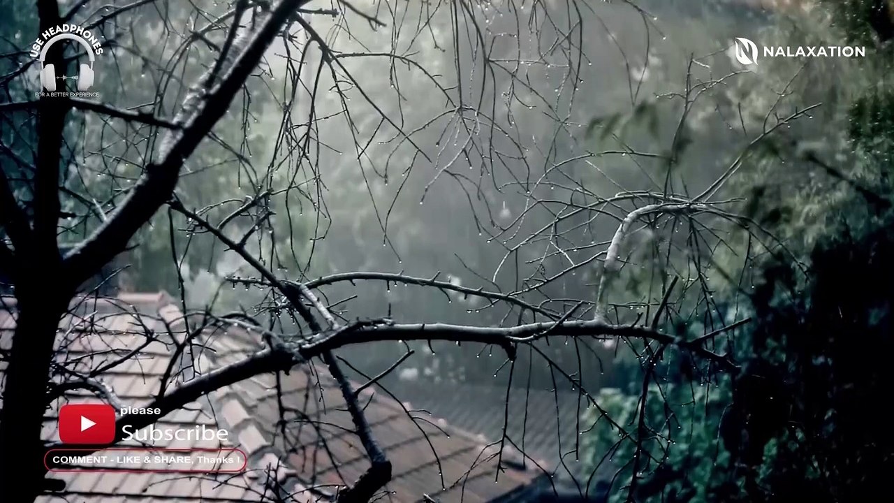 1 Hour of Beauty Piano Relaxing Music with Birds Sound For Sleeping, Studying, Healing, and Meditation on Rainy