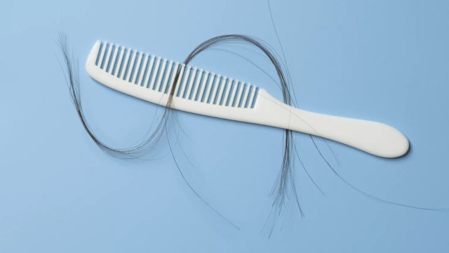 Ask a Beauty Editor: What Is the Difference Between Hair Loss, Hair Thinning, and Hair Breakage?