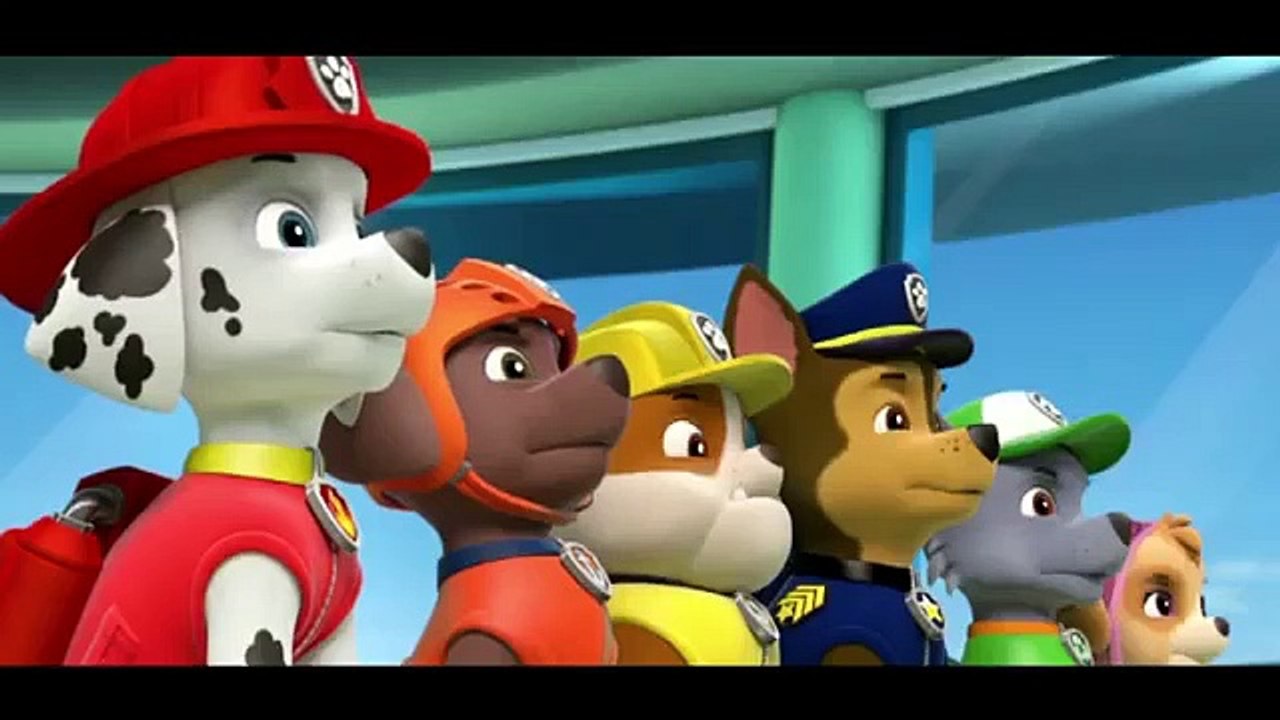 Les bébés tortues de mer & La baleine échouée