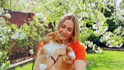 TOP 5 Most Beautiful Fluffy Cats In The World!