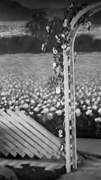 Suga Boom Boom Ft. Jack Parry & Buster Keaton (Story 6)