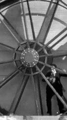 Suga Boom Boom Ft. Jack Parry & Buster Keaton (Story 8)