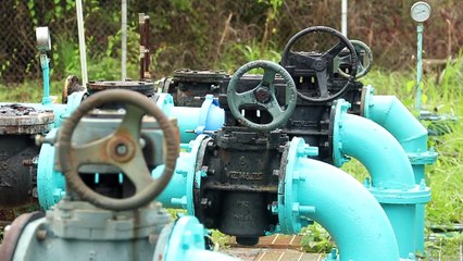 ADVERSE WEATHER AFFECTS 12 WASA PLANTS