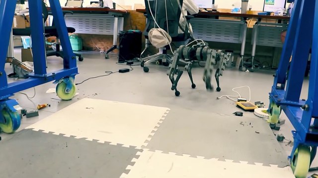 Cão-robô hackeado é capaz de andar nas pernas traseiras