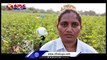 Woman Sarpanch Turned As Agricultural Worker Due To Gram Panchayat Pending Bills  | V6 Teenmaar (1)