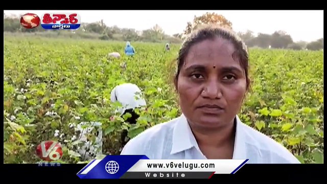 Woman Sarpanch Turned As Agricultural Worker Due To Gram Panchayat Pending Bills | V6 Teenmaar (1)