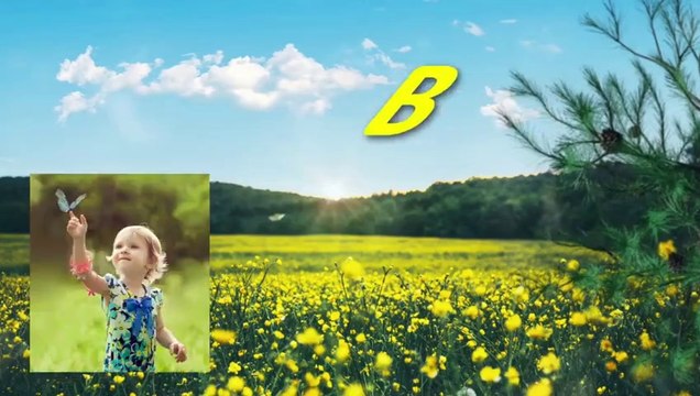 RELAXING, Nature, SOUNDS, Forest, SOUNDS, Birds, NATURE, Butterflies, Stress, Relief, HD, Video