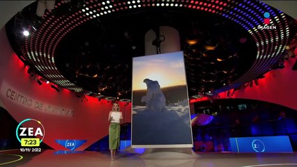 Municipio más frío de Finlandia se postuló para ser sede de los Juegos Olímpicos de Verano de 2032