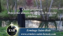 Alléluia Domine Deus salutis du 12e dimanche après la Pentecôte - Ermitage Saint-Bède film Jean-Claude Guerguy by Ciné Art Loisir