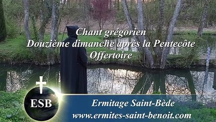 Offertoire Precatus est du 12e dimanche après la Pentecôte - Ermitage Saint-Bède film Jean-Claude Guerguy by Ciné Art Loisir