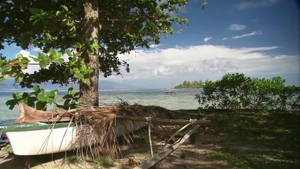 Adventure Ocean Quest - Shark Paradise of Polynesia Episode 1