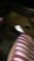 Batı'nın terör örgütünün Türkiye'de faaliyetlere başladığı ortaya çıktı!