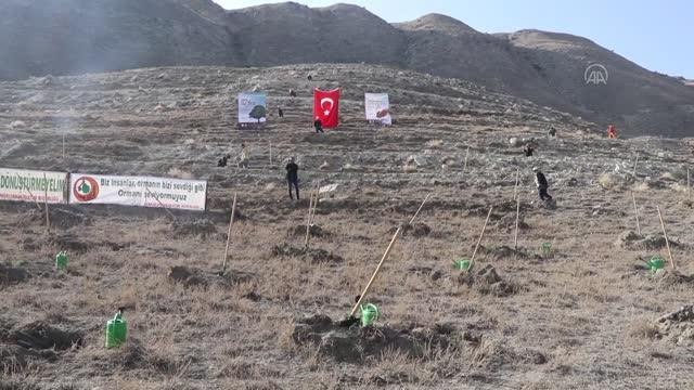 Milli Ağaçlandırma Günü'nde fidanlar toprakla buluşturuldu